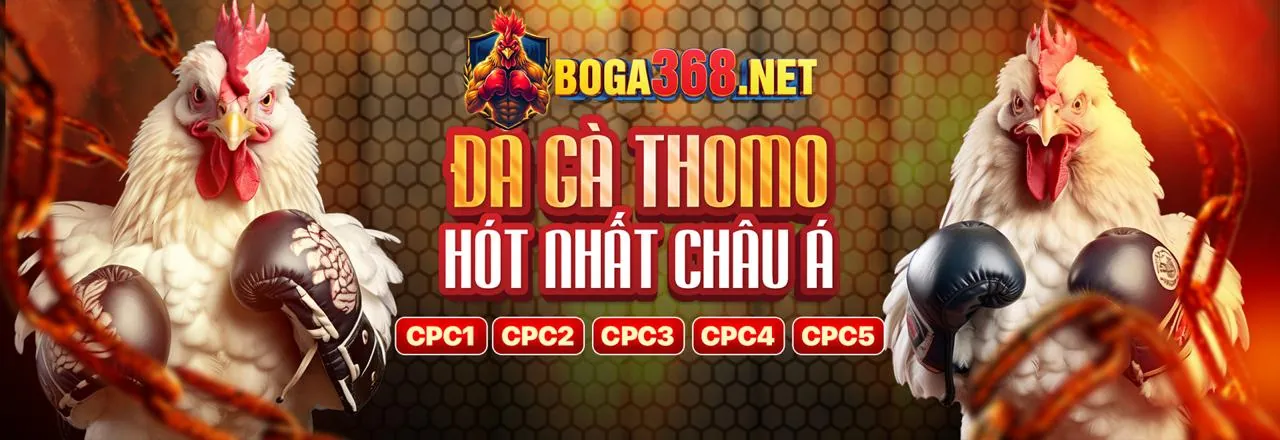 Đá gà trực tuyến kịch tính tại best88 code