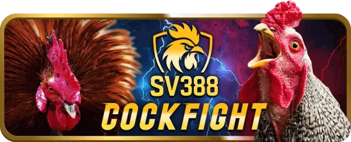 Đa dạng sản phẩm giải trí Best88 Code